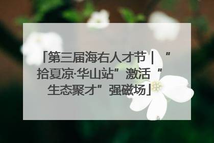 第三届海右人才节｜“拾夏凉·华山站”激活“生态聚才”强磁场
